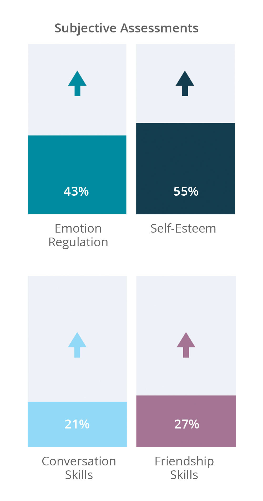 Preliminary Research - Subjective Assessments