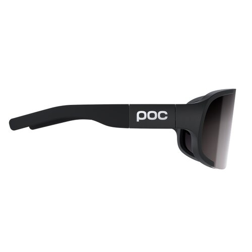 POC POC Aspire Sunglasses