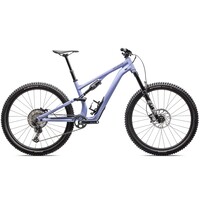 Stumpjumper 15 Comp Alloy