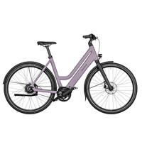 Culture Mixte Vario 400WH Purion 200 50cm - Blossom