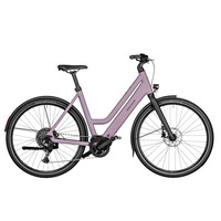 Culture Mixte Touring 400WH Purion 200 50cm - Blossom