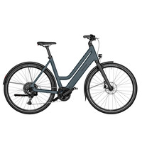 Culture Mixte Vario 400WH Purion 200 50cm - Denim