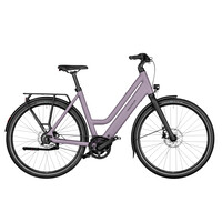 Culture Mixte Silent 400WH Purion 200 50cm - Blossom