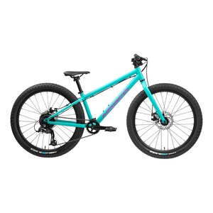 Norco Storm 24 Disc