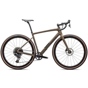 Specialized Diverge Expert Carbon