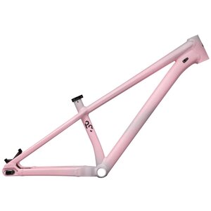 Specialized P.3 Frame